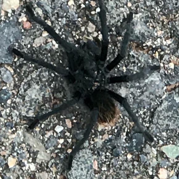 Meet your Posher, John - Picture 1 of 2